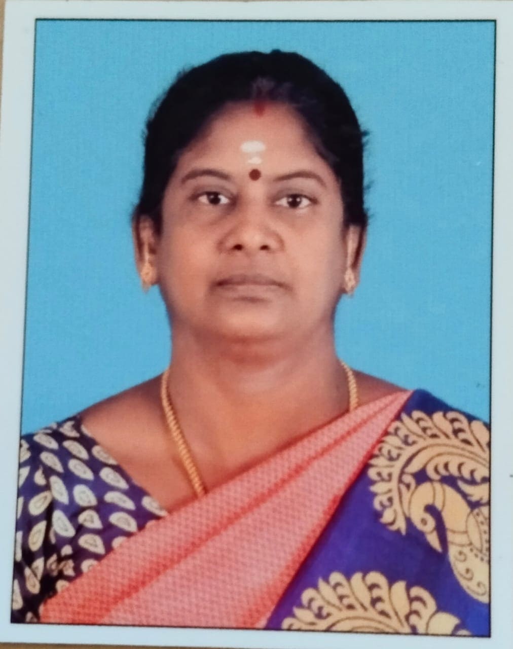 Mrs.  M Hemalatha Librarian